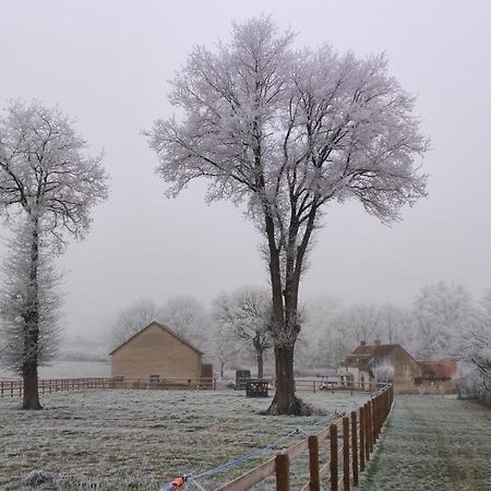 Bienvenue à La Grenouillère Vila Le Magny  Exterior foto