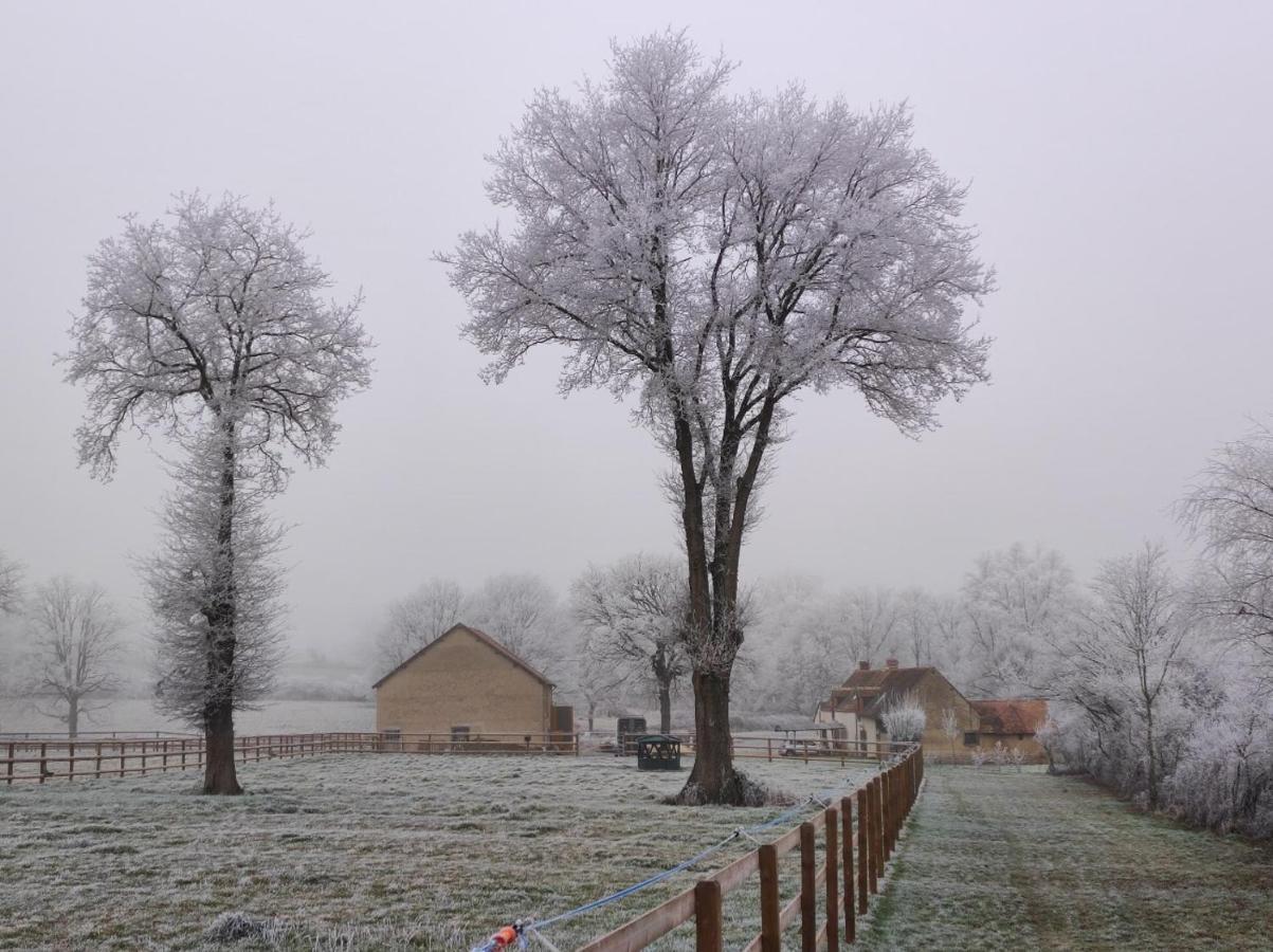 Bienvenue à La Grenouillère Vila Le Magny  Exterior foto