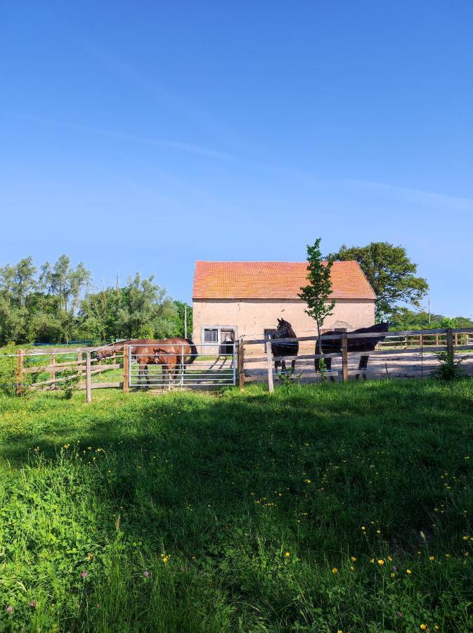 Bienvenue à La Grenouillère Vila Le Magny  Exterior foto